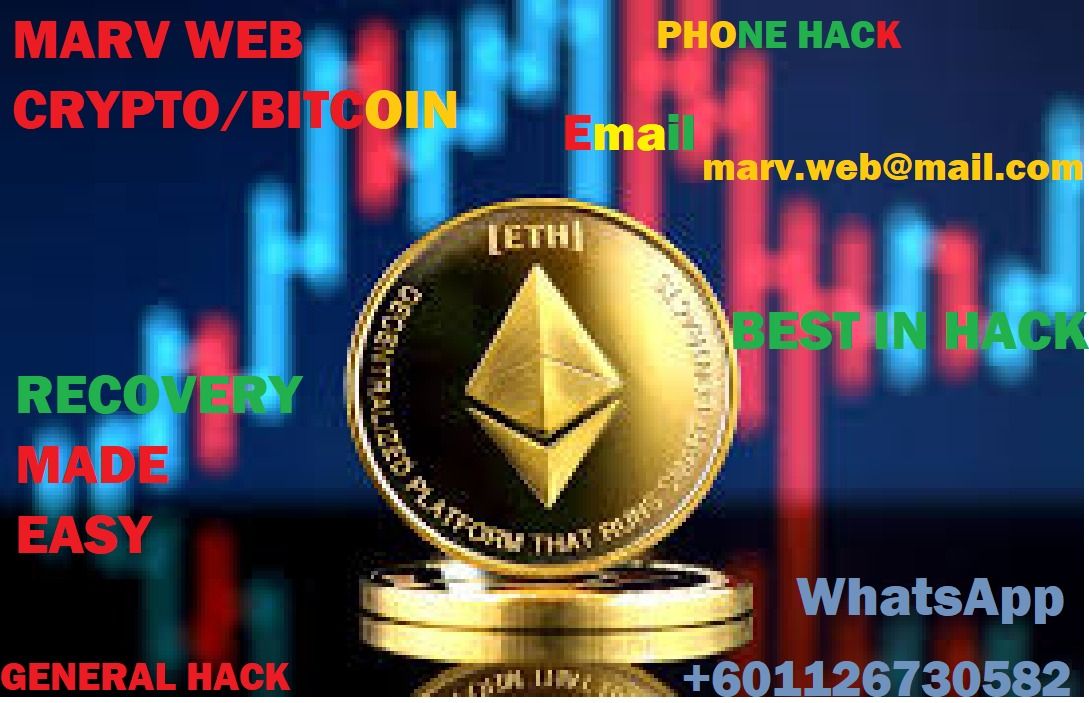 WhatsApp Image 2026-01-29 at 3.56.57 PM.jpeg