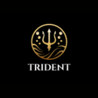 tridentcleaning