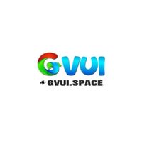gvuispace