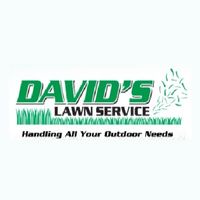 davidslaw