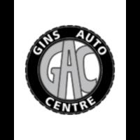 ginsauto