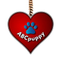 abcpuppy