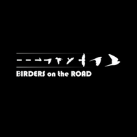 birdersontheroad