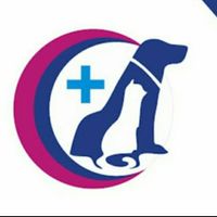 Cure And Care