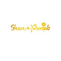 shanapunjab