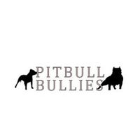 pitbullbullies