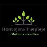 haervejens