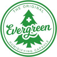 evergreen