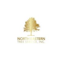 northeasterntree