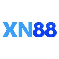 xn881net