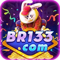 br133org