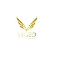 Vigeo