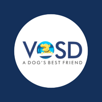 VOSD