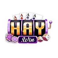 haywin88online