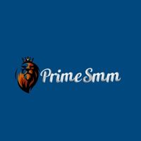 PrimeSMM 1