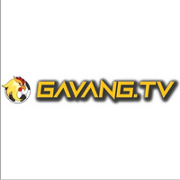 gavangtvwork