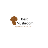 bestmushroomshop