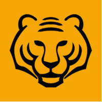 asiantigersgroup