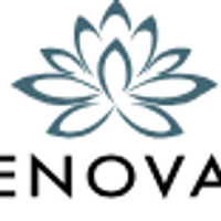 zenrenovations
