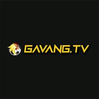 gavangtvllc2