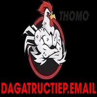 dagatructiepe