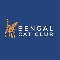 bengalcatclub