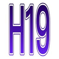 h19biz