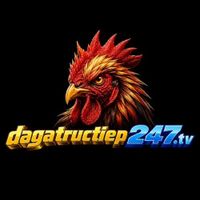 Dagatructiep247t