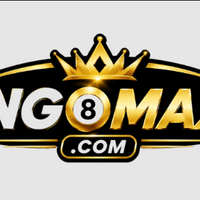 bingomaxxcom