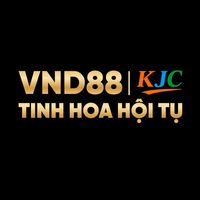 vnd88to01
