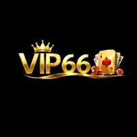 vip66vnnet
