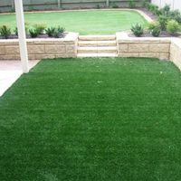 TimsTotalTurf
