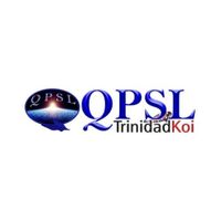 QPSLLTD 0