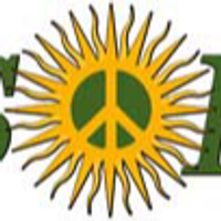 Nesol