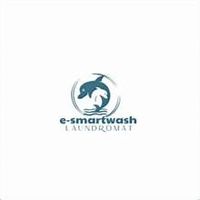 esmartwash