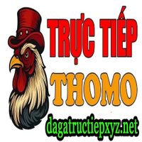 dagattxyznet