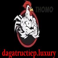 dagatructiepluxu