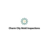 CharmCityMold