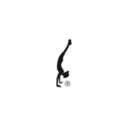 thehandstandshop