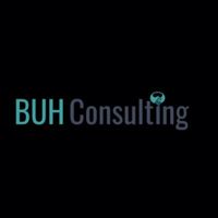 buhconsultingaes