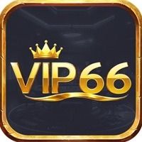 vip66nyvip