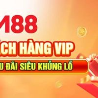 mm88io1vn1