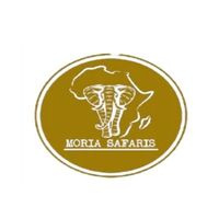 moriasafari