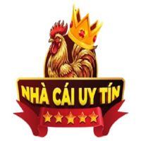 nhacauyti
