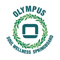 Olympus 0