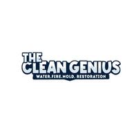thecleangenius