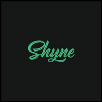 shynedetailing94