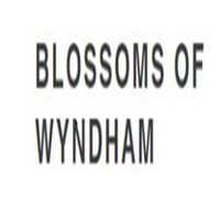 blossomofwyndham